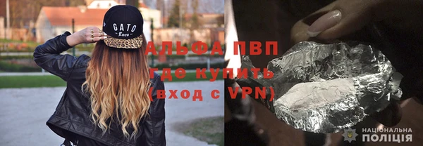 шишки Ладушкин