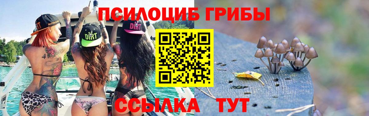 Псилоцибиновые грибы Psilocybine cubensis  Псилоцибиновые грибы Psilocybine cubensis  Дивногорск 